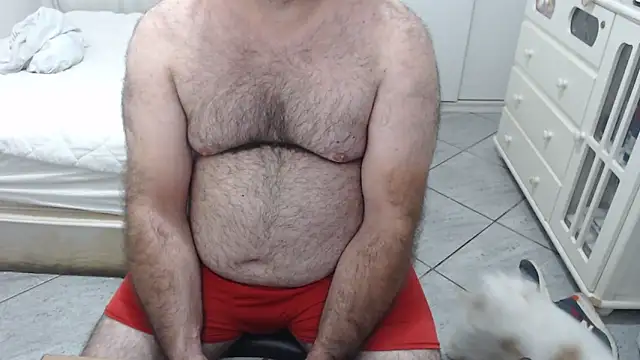 MysterBearMG online show from November 23, 10:32 pm