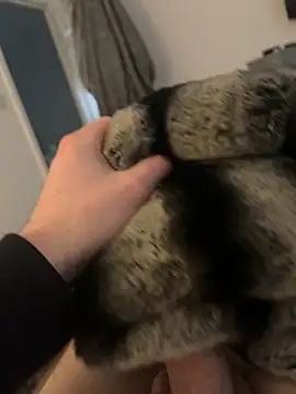 Furdale online show from February 12, 2:54 pm