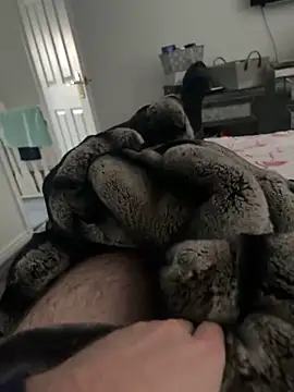 Furdale online show from February 20, 3:41 pm