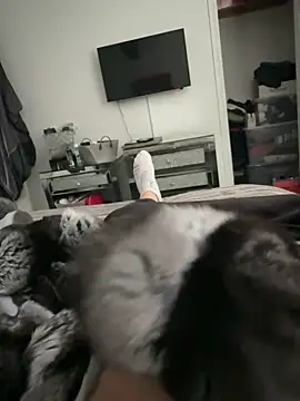 Furdale online show from September 18, 4:31 pm