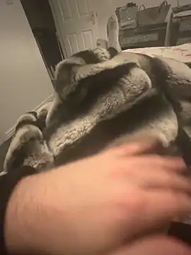 Furdale online show from December 7, 9:33 pm