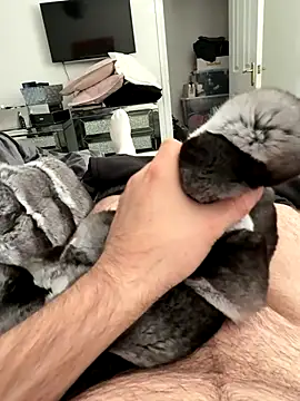 Furdale online show from September 25, 4:50 pm