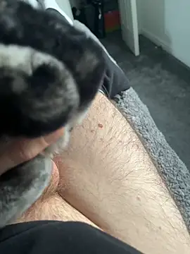 Furdale online show from January 16, 2:08 pm