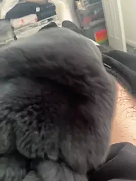 Furdale online show from March 14, 11:12 am