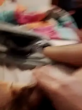 jon763 online show from February 19, 9:17 am