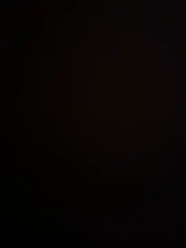 RoccoWild55 online show from October 10, 12:15 am