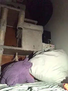 BIG-CkD F online show from January 13, 12:02 pm