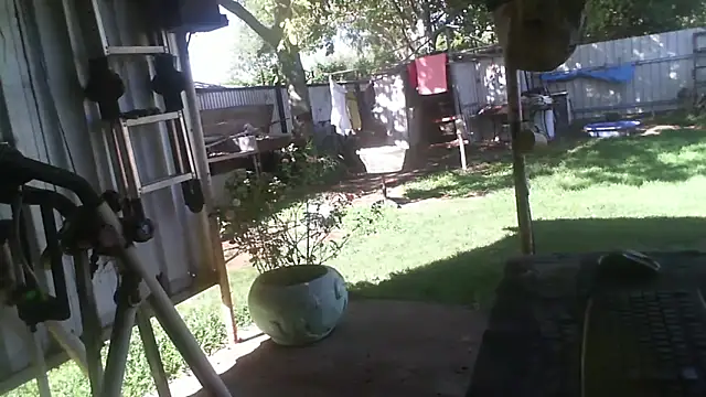 herbie010666 online show from January 16, 6:16 am