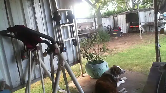 herbie010666 online show from March 6, 5:26 am