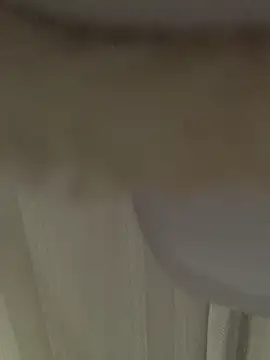 GHsveter online show from March 31, 10:17 am