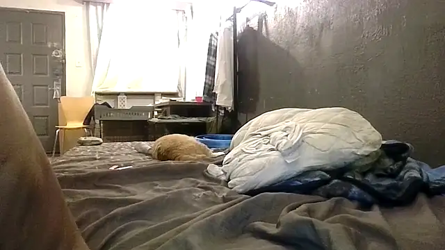 247Srokin online show from March 10, 8:17 am