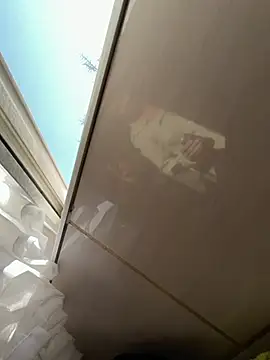 TigerOne19 online show from March 9, 7:35 am