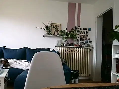 Simon-tem online show from February 5, 1:40 pm