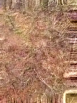 Gopal1243 online show from October 19, 4:50 am