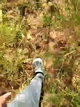 Gopal1243 online show from January 7, 7:57 am