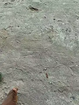 Gopal1243 online show from April 20, 7:55 am