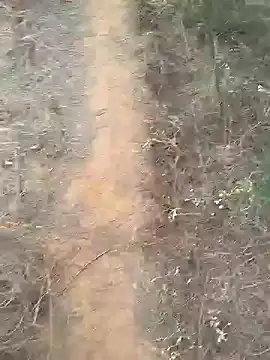 Gopal1243 online show from February 10, 2:08 am