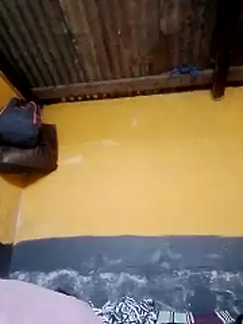 LULE37587001 online show from November 22, 2:49 pm