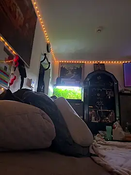 Toyjungee online show from February 3, 8:08 am