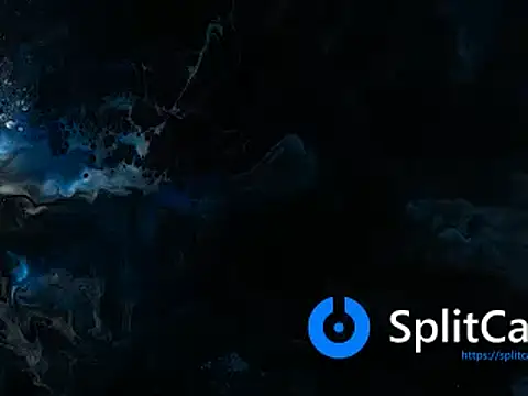 Elkafit28 online show from December 15, 8:00 am